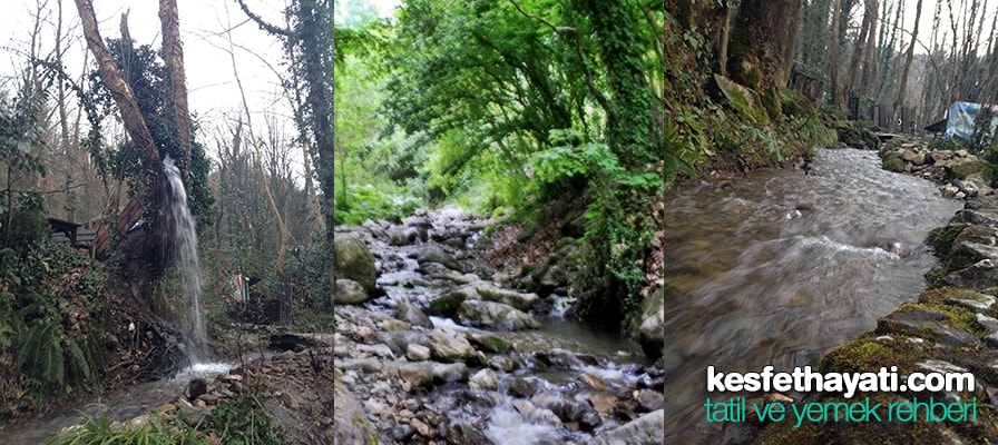 Maşukiye-Orman-Sapanca-Gölü-Manzara Şelale